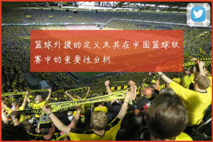 篮球外援的定义及其在中国篮球联赛中的重要性分析