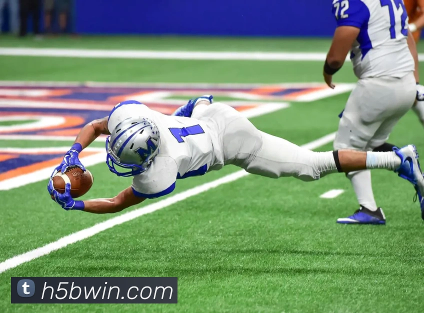 bwin必赢平台发展历程